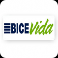 Bice Vida